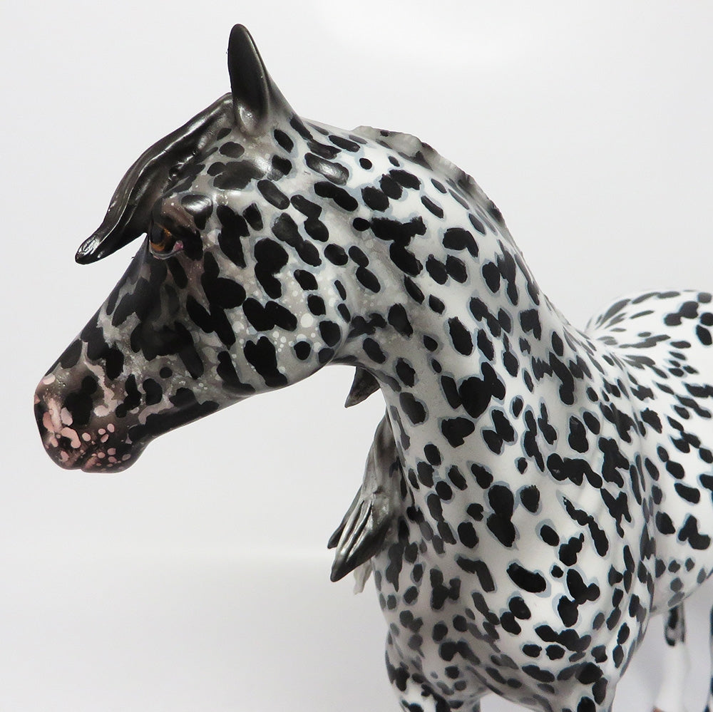 appaloosa