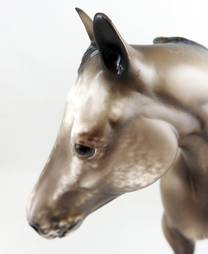 FLASH A ROCK-OOAK BAY ROAN APPALOOSA ISH MODEL HORSE BY SHERYL LEISURE 9/15