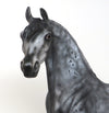 amahle arabian 