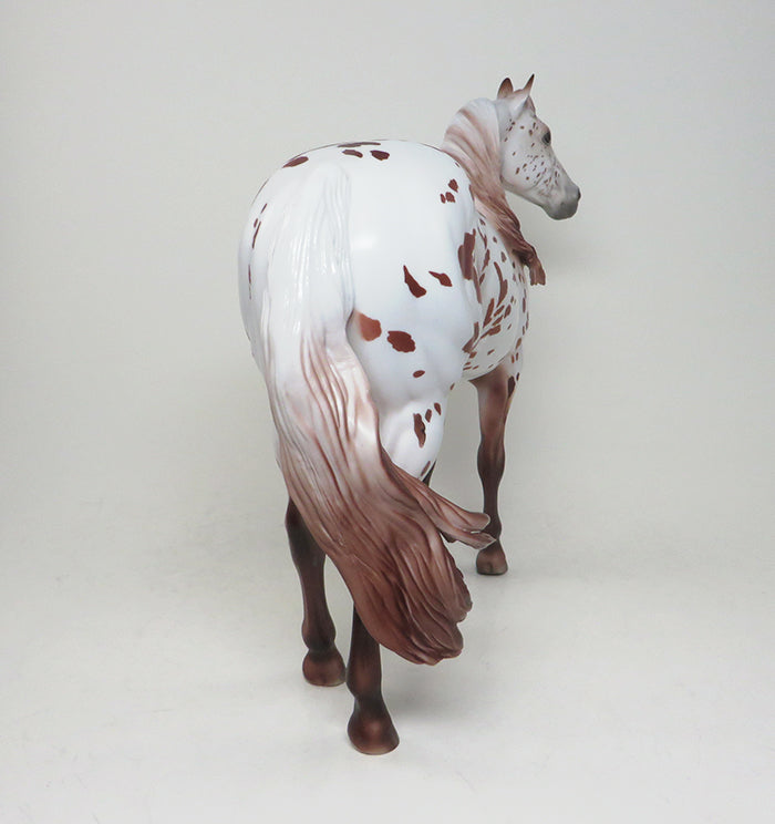 peter stone ideal stock horse appaloosa