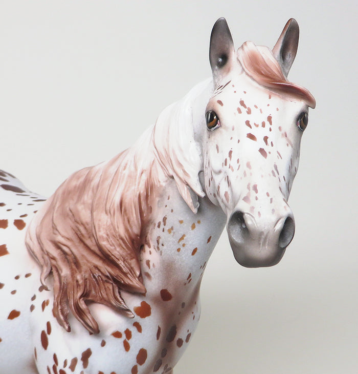 chestnut appaloosa ish