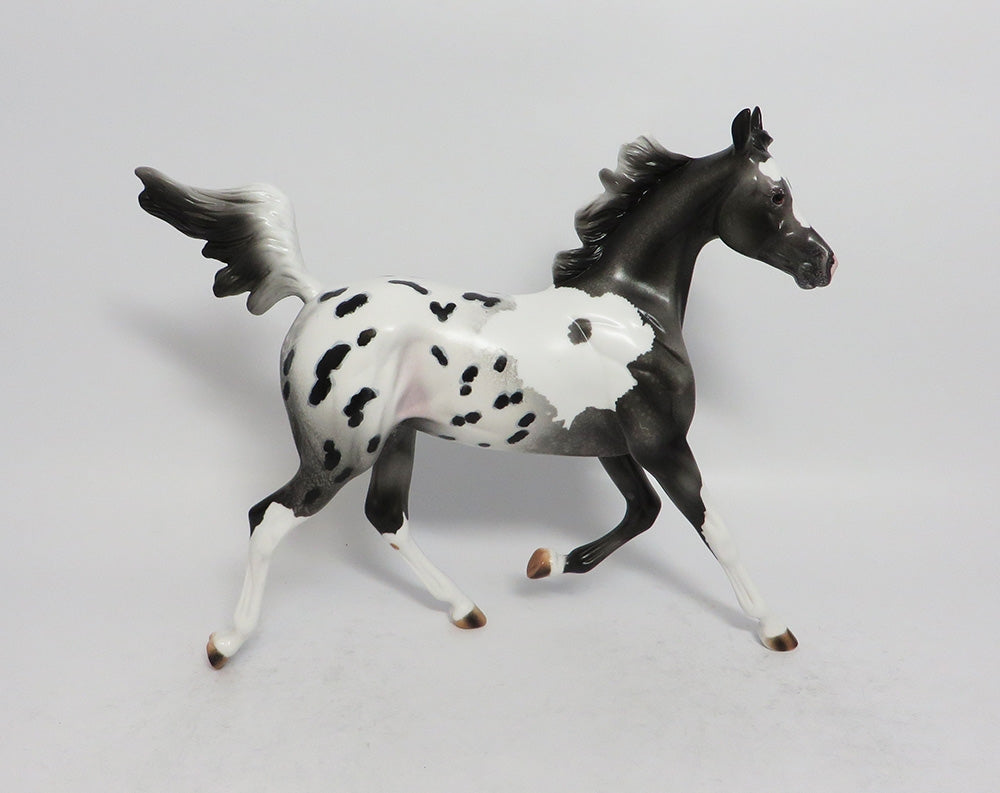 CATCH A DREAM-OOAK BLACK PINTALOOSA YEARLING MODEL HORSE 3-9-18