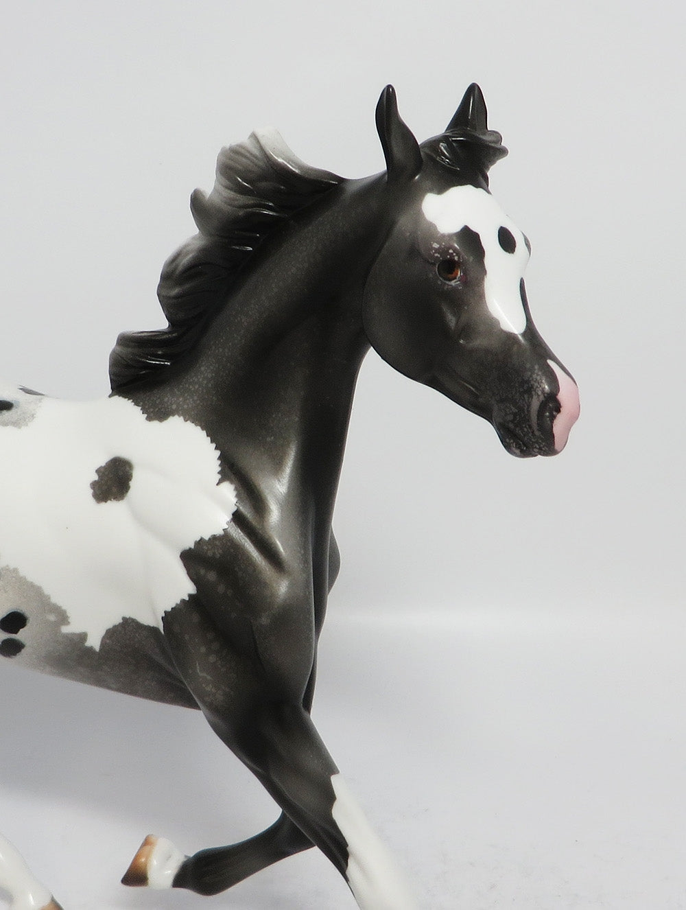 CATCH A DREAM-OOAK BLACK PINTALOOSA YEARLING MODEL HORSE 3-9-18
