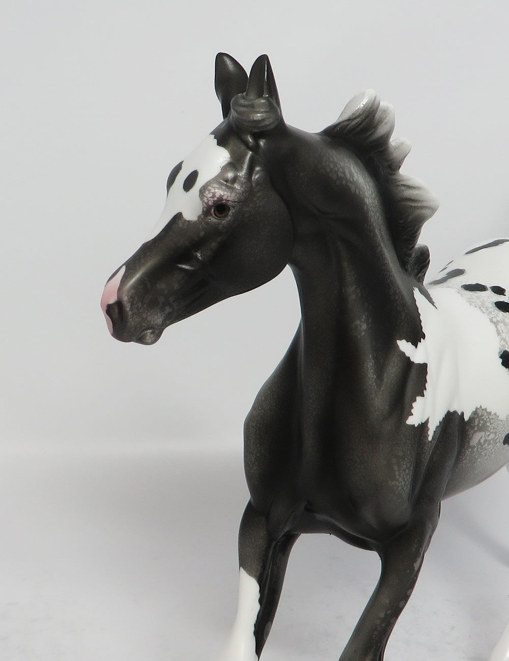 CATCH A DREAM-OOAK BLACK PINTALOOSA YEARLING MODEL HORSE 3-9-18