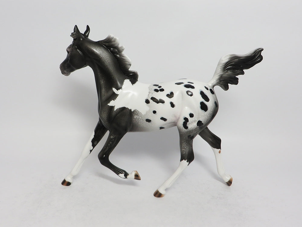 CATCH A DREAM-OOAK BLACK PINTALOOSA YEARLING MODEL HORSE 3-9-18