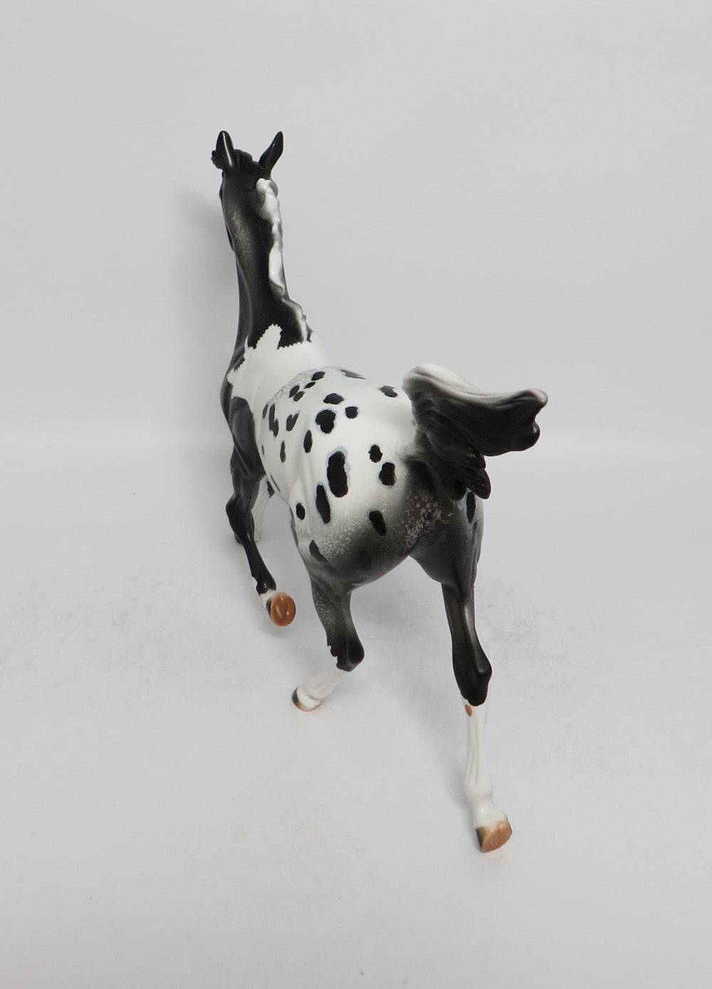 CATCH A DREAM-OOAK BLACK PINTALOOSA YEARLING MODEL HORSE 3-9-18