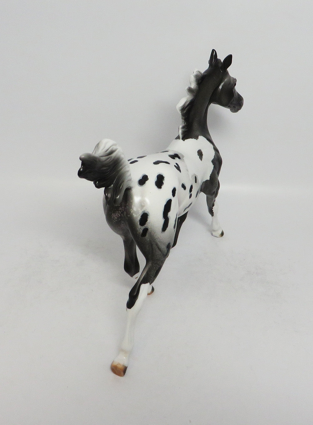 CATCH A DREAM-OOAK BLACK PINTALOOSA YEARLING MODEL HORSE 3-9-18