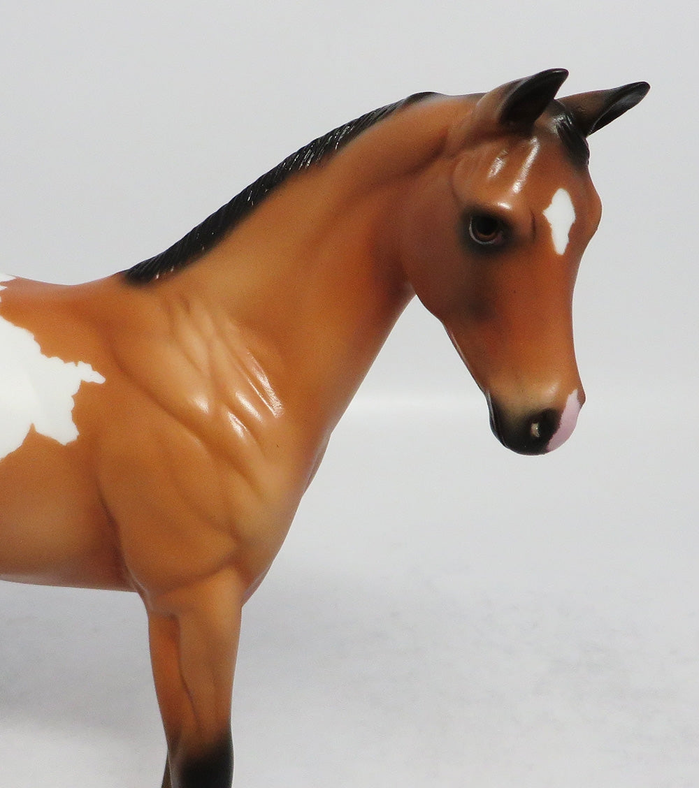 LANCASTER - OOAK BUCKSKIN APPALOOSA WEANLING MODEL HORSE MW2018