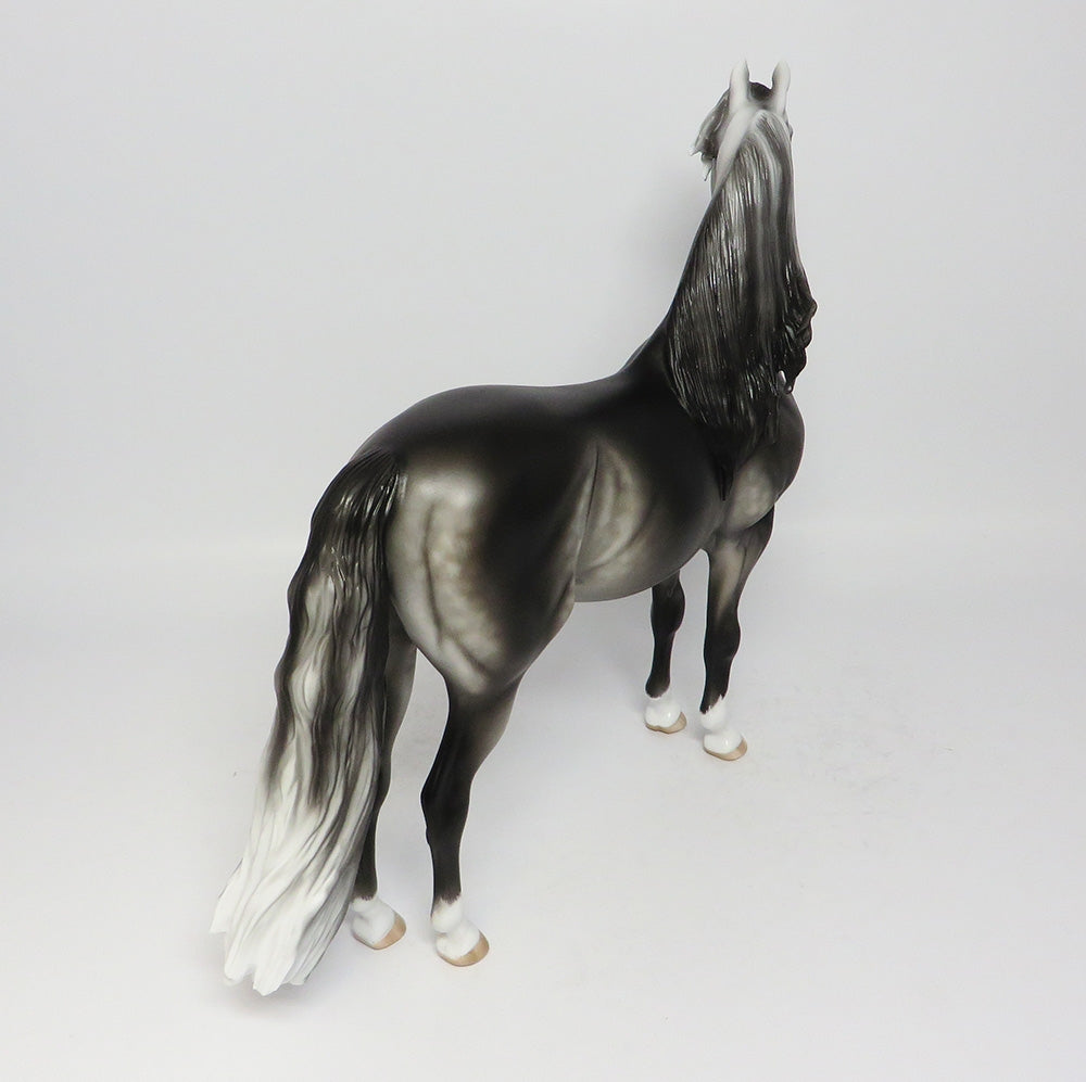 BALLROOM DANCER-OOAK DAPPLE GREY MORGAN HORSE 8/2/17
