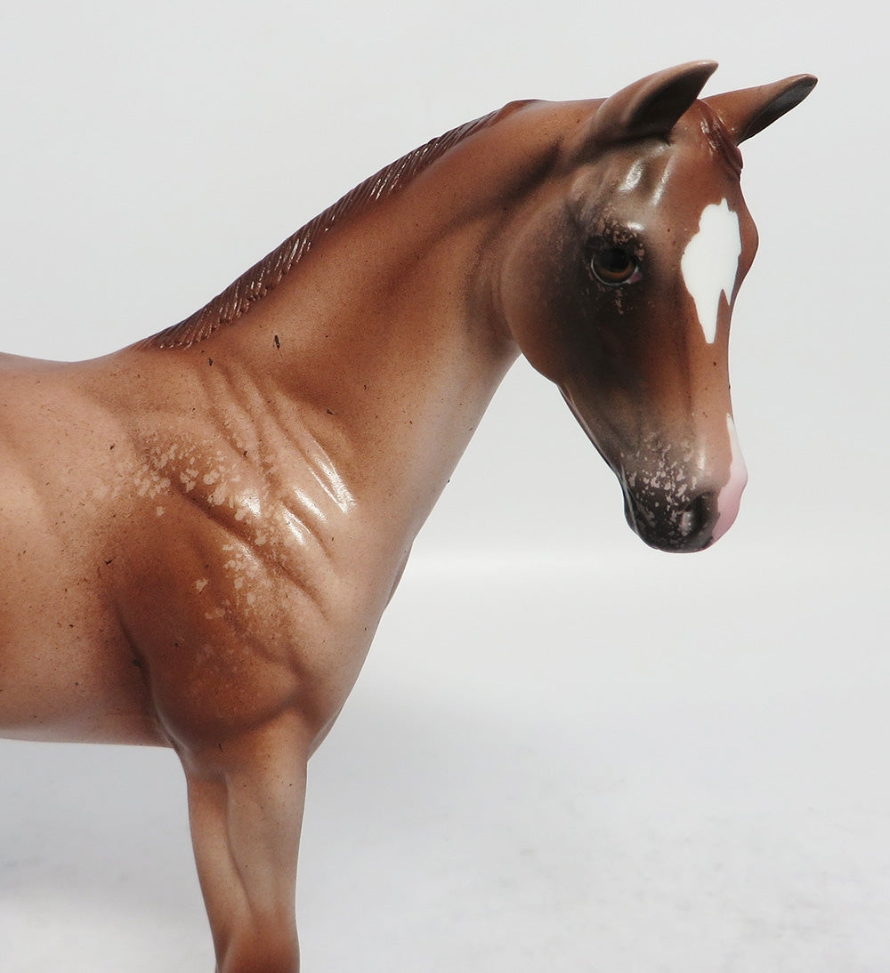 ROCKER - OOAK CHESTNUT APPALOOSA WEANLING MODEL HORSE EA2018