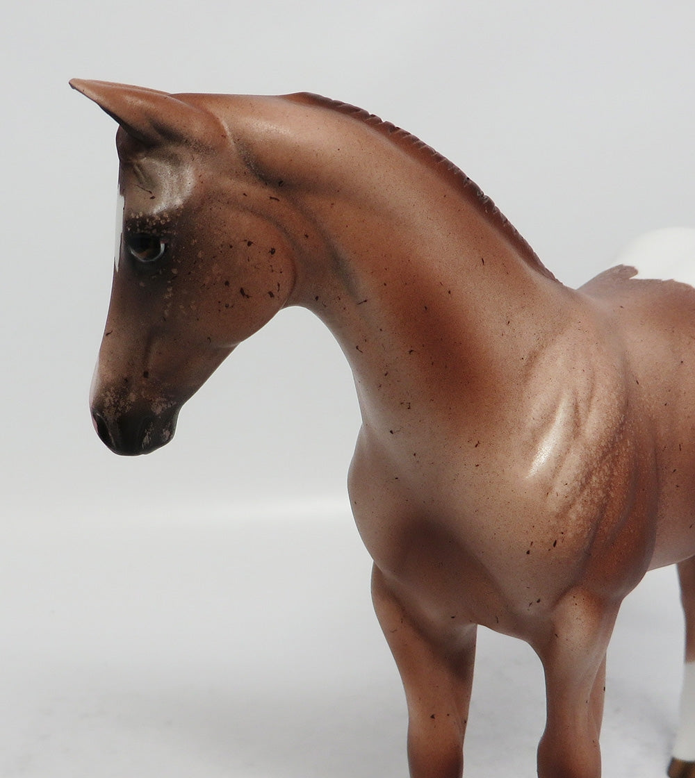 ROCKER - OOAK CHESTNUT APPALOOSA WEANLING MODEL HORSE EA2018