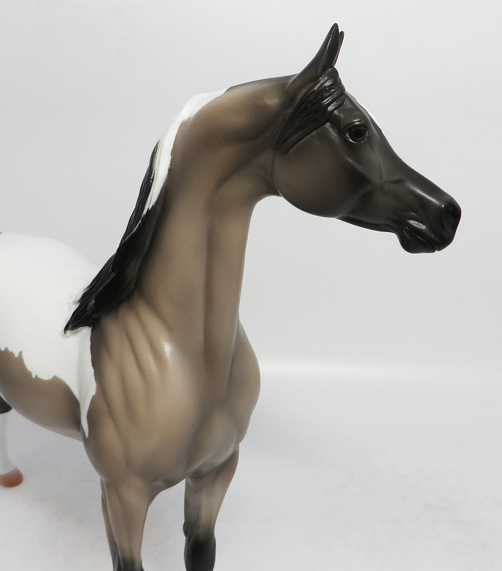 NO WAY OUT-OOAK GRULLA TOBIANO ARABIAN MODEL HORSE 3-9-18