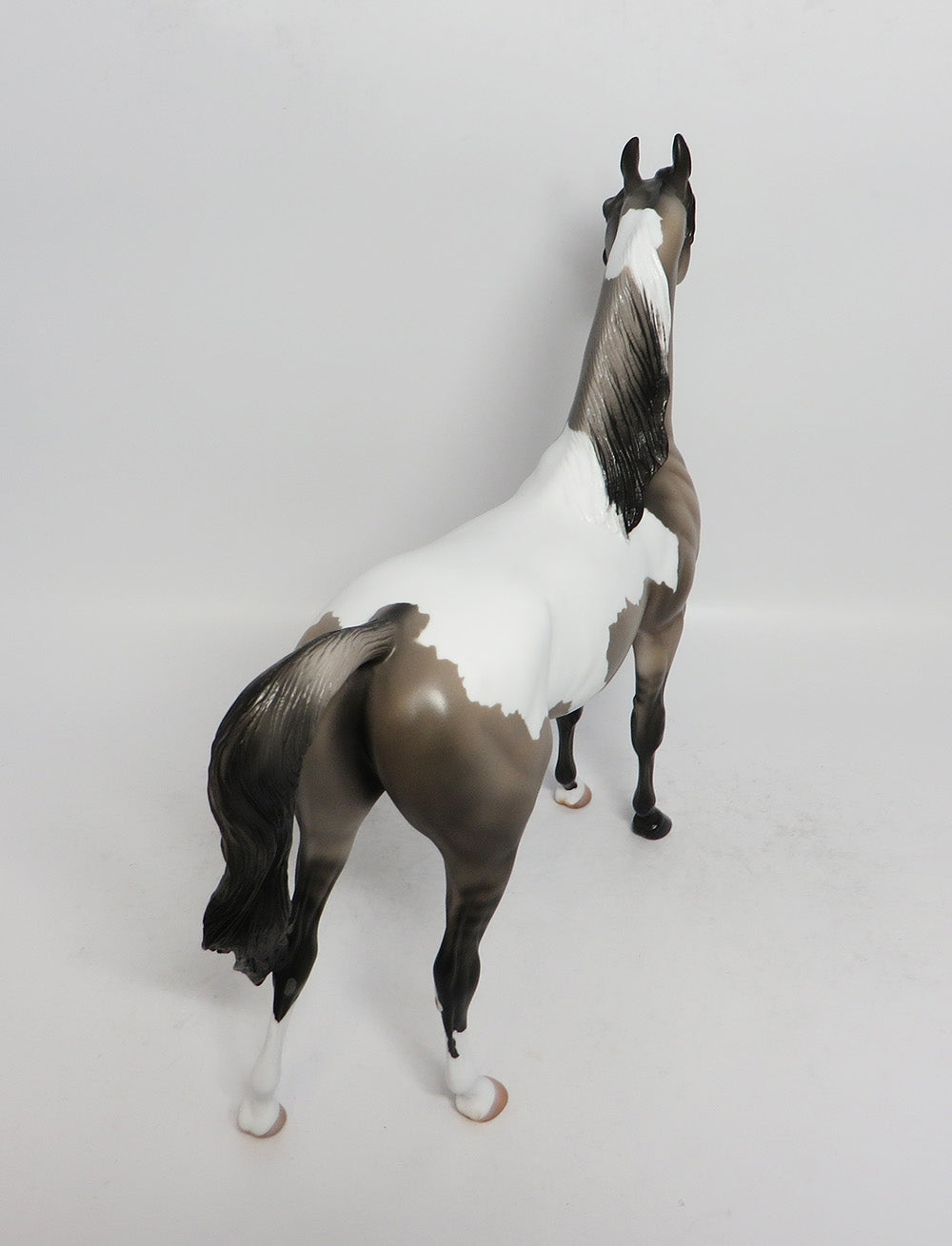 NO WAY OUT-OOAK GRULLA TOBIANO ARABIAN MODEL HORSE 3-9-18