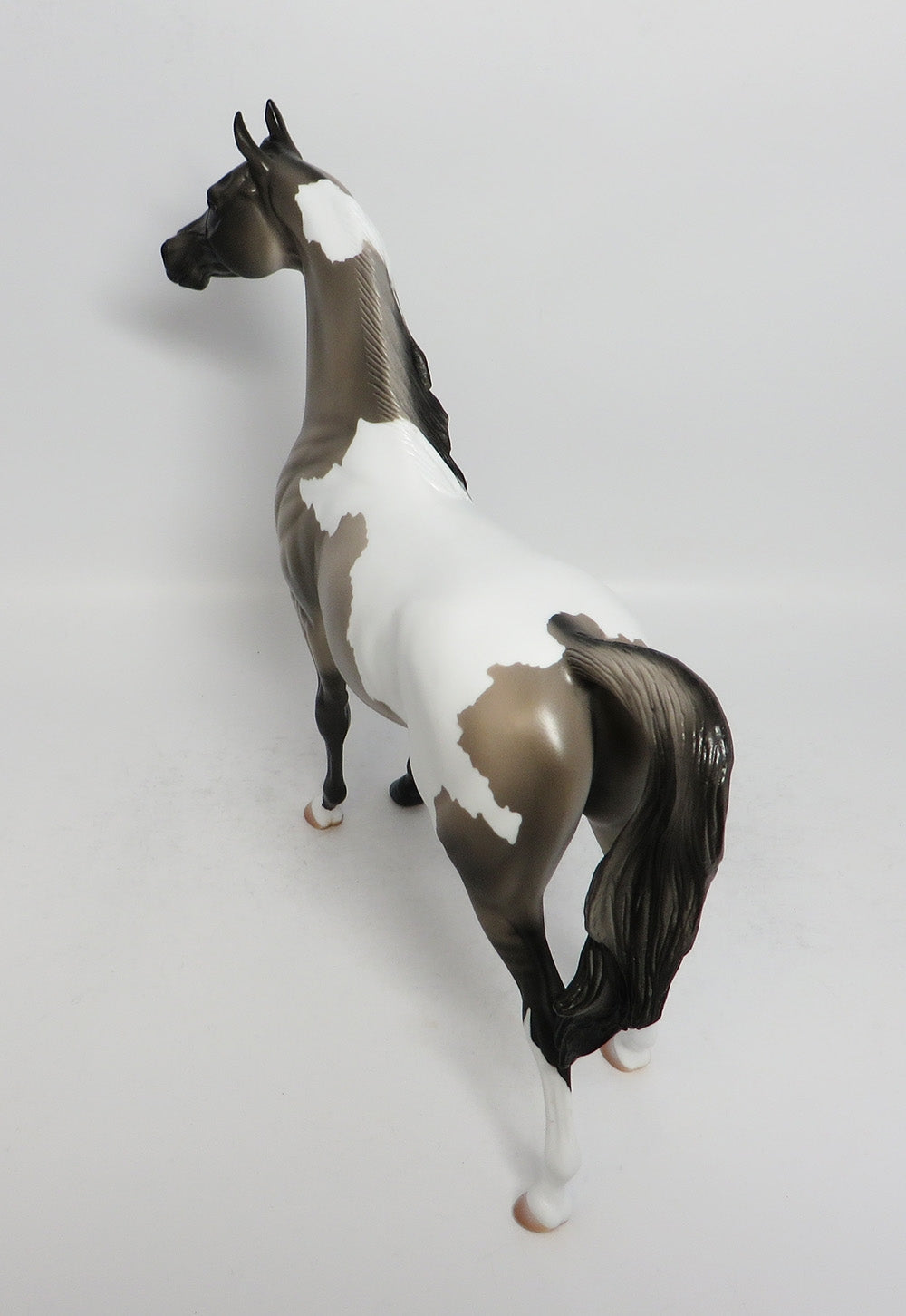 NO WAY OUT-OOAK GRULLA TOBIANO ARABIAN MODEL HORSE 3-9-18