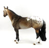 ADDICTED 2 CRIME-OOAK BAY APPALOOSA ISH BY DAWN QUICK 2/14