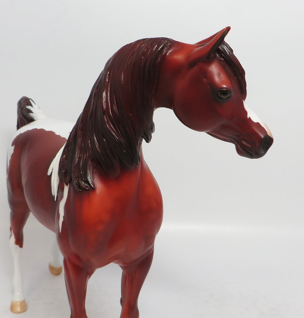 DAYTON - LE7 CHESTNUT PINTO ARABIAN MODEL HORSE EA 2018