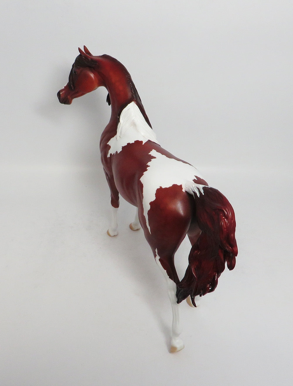 DAYTON - LE7 CHESTNUT PINTO ARABIAN MODEL HORSE EA 2018