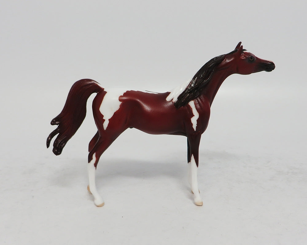 DAYTON - LE8 MINI ME CHESTNUT PINTO ARABIAN CHIP EA 2018