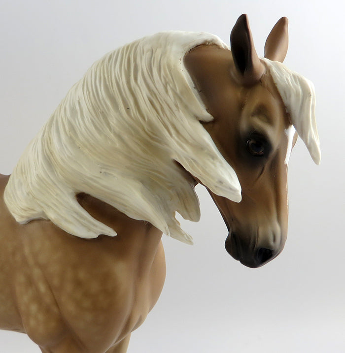 Palomino