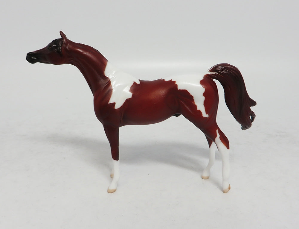 DAYTON - LE8 MINI ME CHESTNUT PINTO ARABIAN CHIP EA 2018