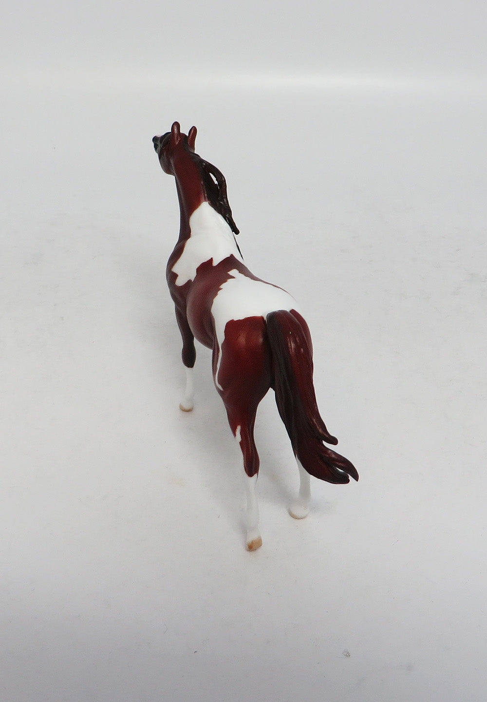 DAYTON - LE8 MINI ME CHESTNUT PINTO ARABIAN CHIP EA 2018