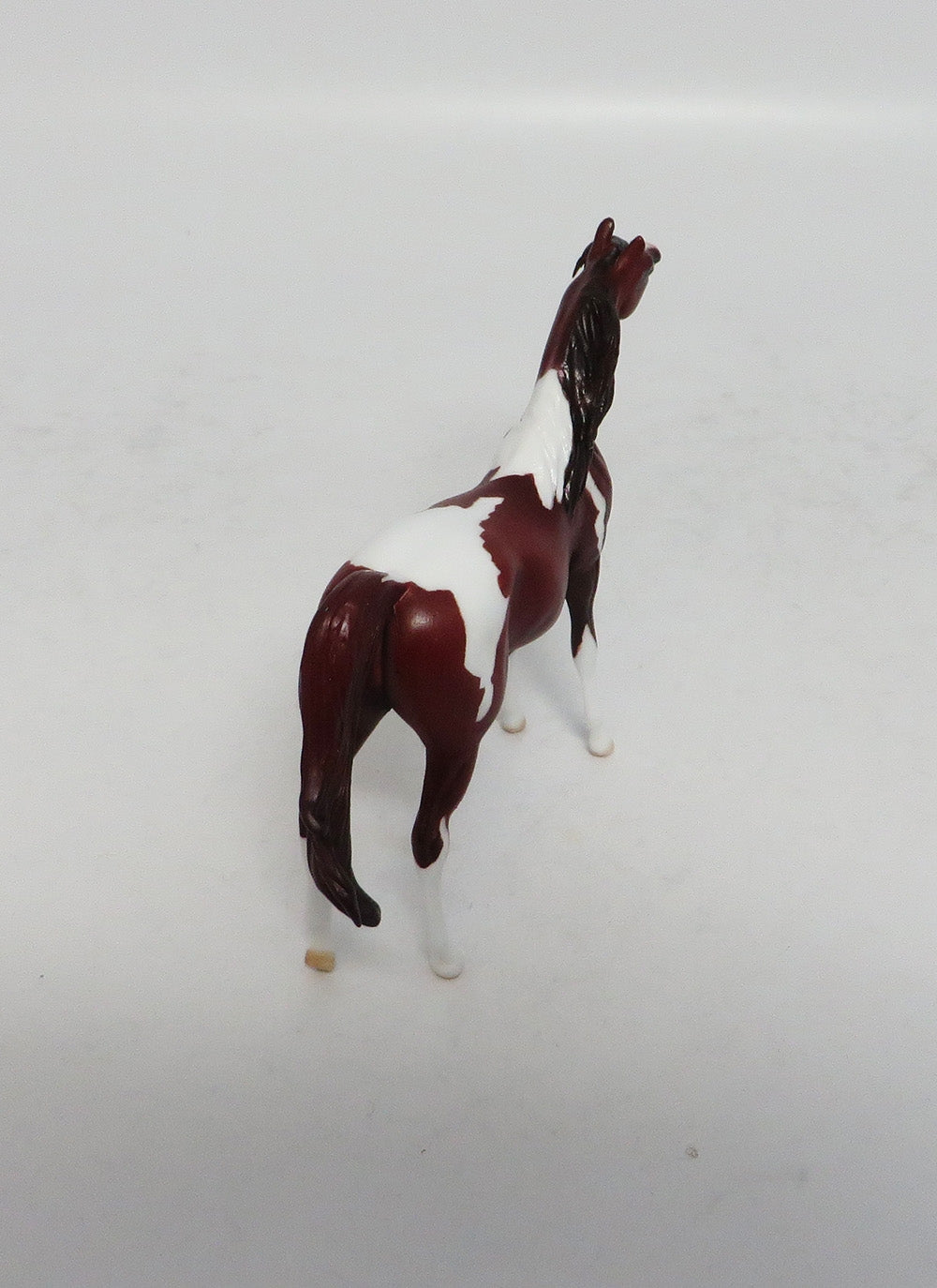 DAYTON - LE8 MINI ME CHESTNUT PINTO ARABIAN CHIP EA 2018