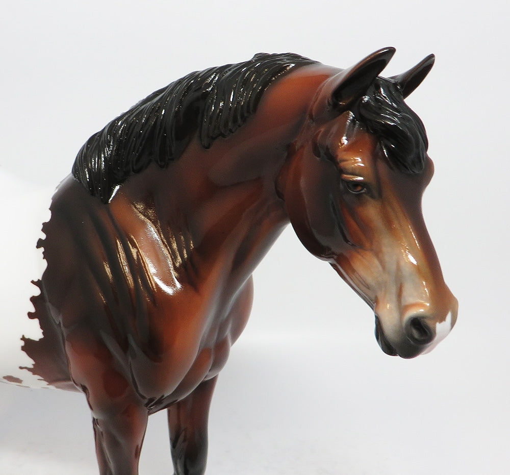 ROBIN - LE14 BAY APPALOOSA BUNNY HEAVY DRAFTER MODEL HORSE MW2018