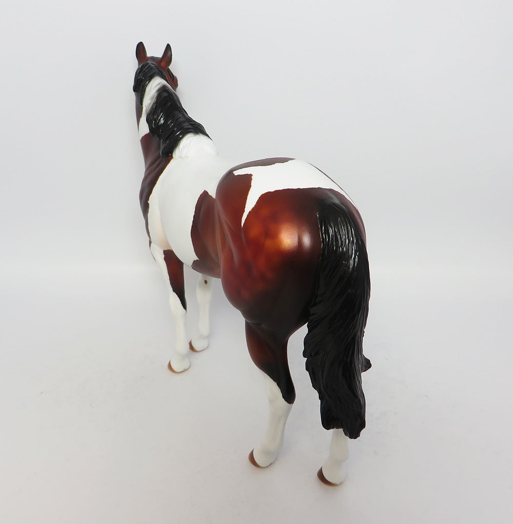 BREWER~OOAK BAY PINTO ISH MODEL HORSE 8/3/17