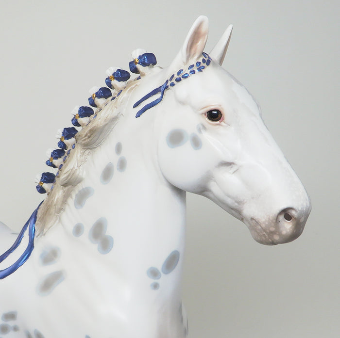 Appaloosa