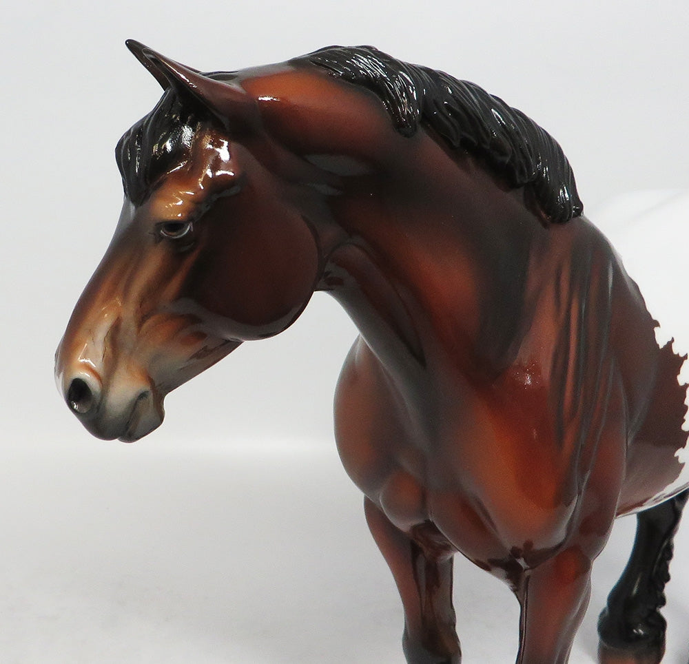 ROBIN - LE14 BAY APPALOOSA BUNNY HEAVY DRAFTER MODEL HORSE MW2018