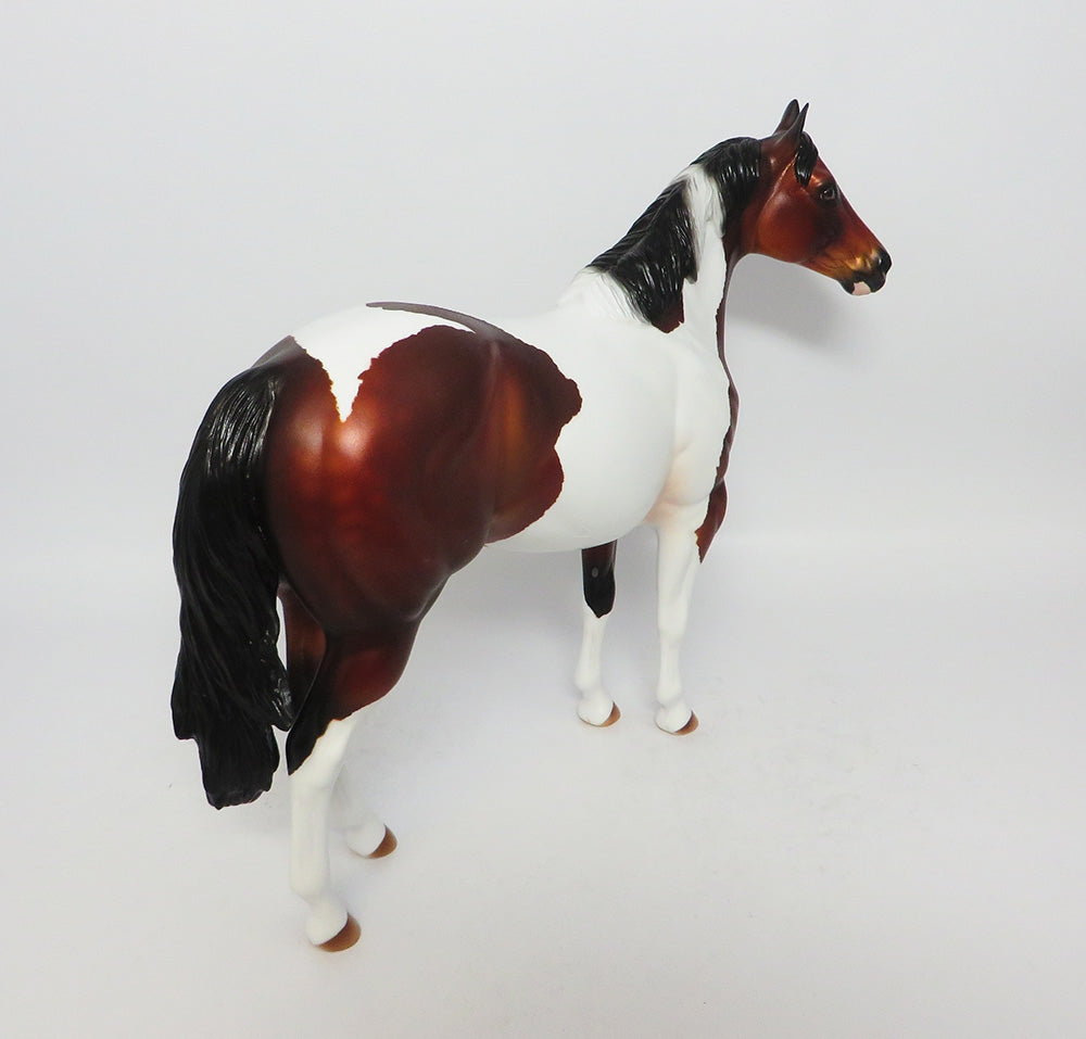 BREWER~OOAK BAY PINTO ISH MODEL HORSE 8/3/17