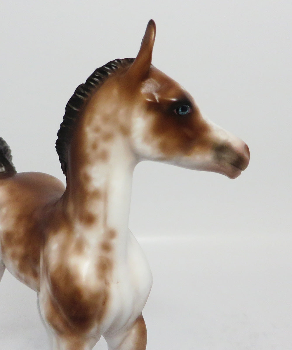 BANANARAMA-OOAK BAY SABINO FOAL MODEL HORSE 7/28/17
