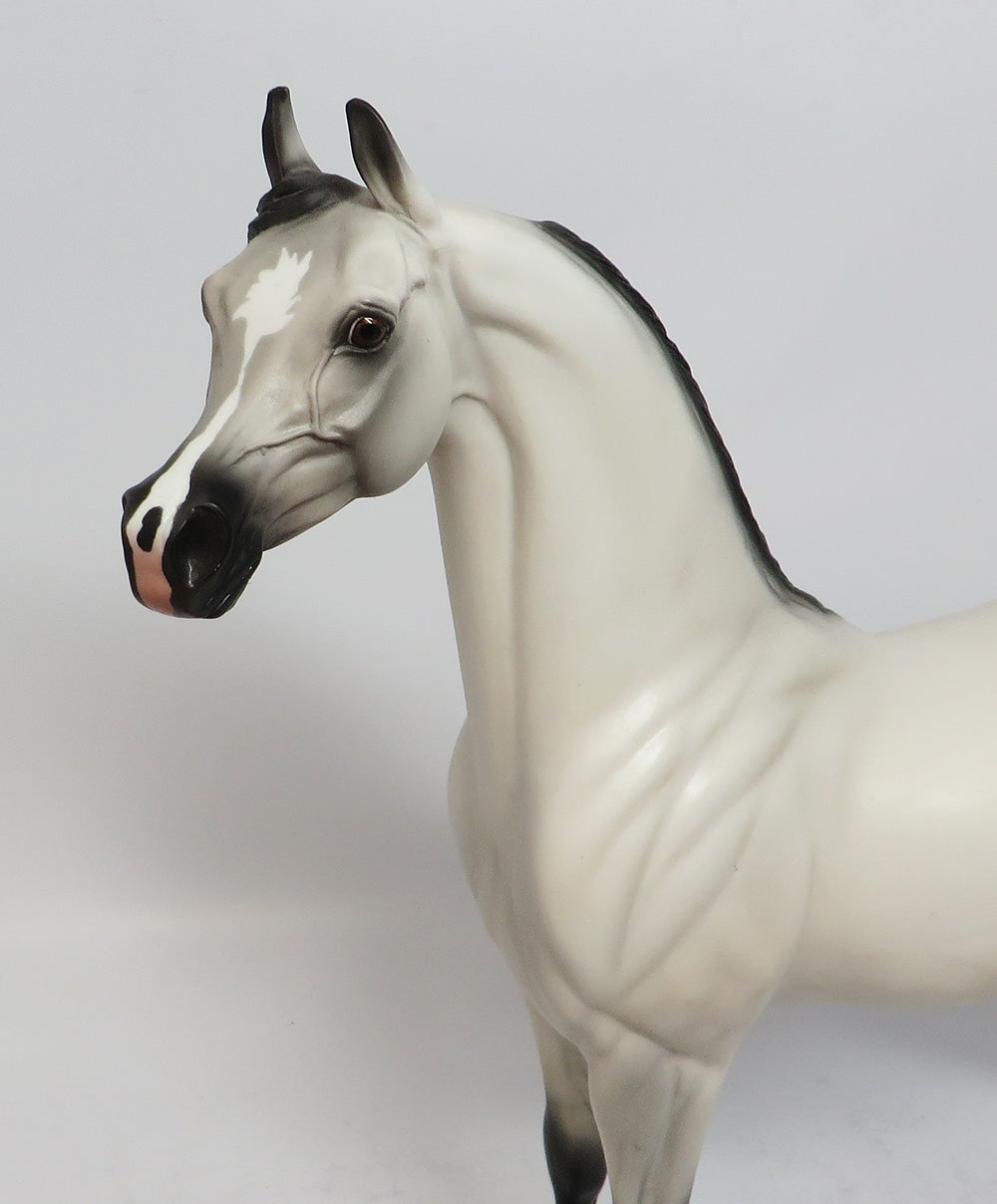 ANONYMOUS-OOAK NON CUSTOM GREY W/ BLACK POINTS ARABIAN MODEL HORSE EA 2018