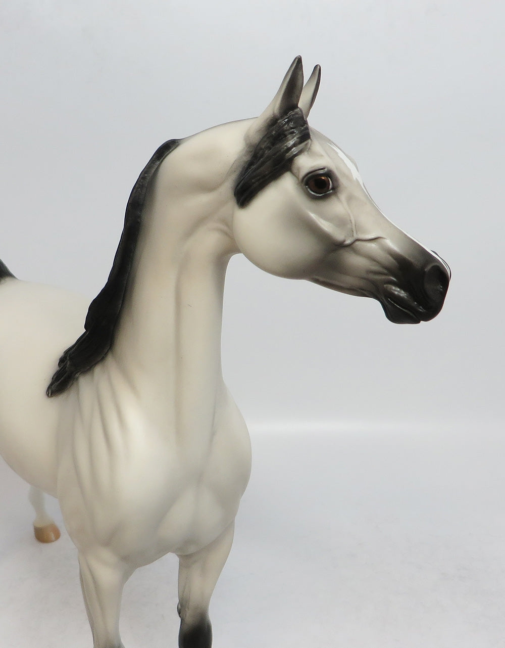 ANONYMOUS-OOAK NON CUSTOM GREY W/ BLACK POINTS ARABIAN MODEL HORSE EA 2018
