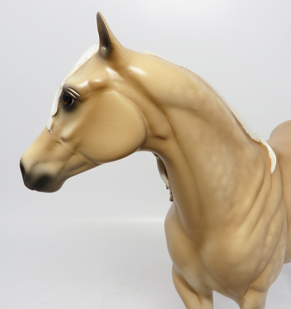 palomino