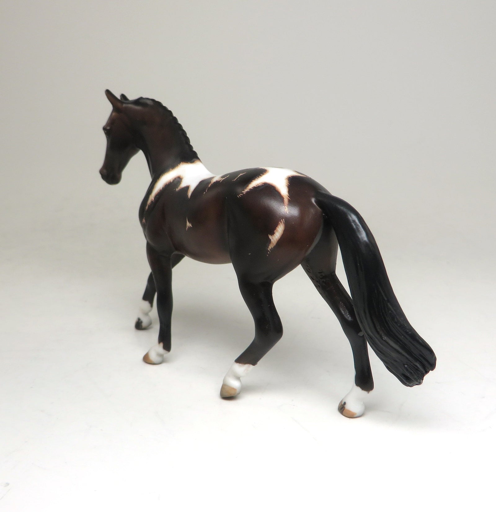 bay etched warmblood one of a kind tiny dancer