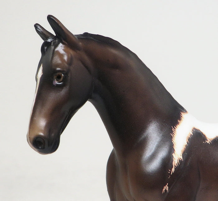 TINY DANCER - OOAK BAY ETCHED PAINT WARMBLOOD CHIPS MODEL HORSE BY SHERYL LEISURE - 3/17
