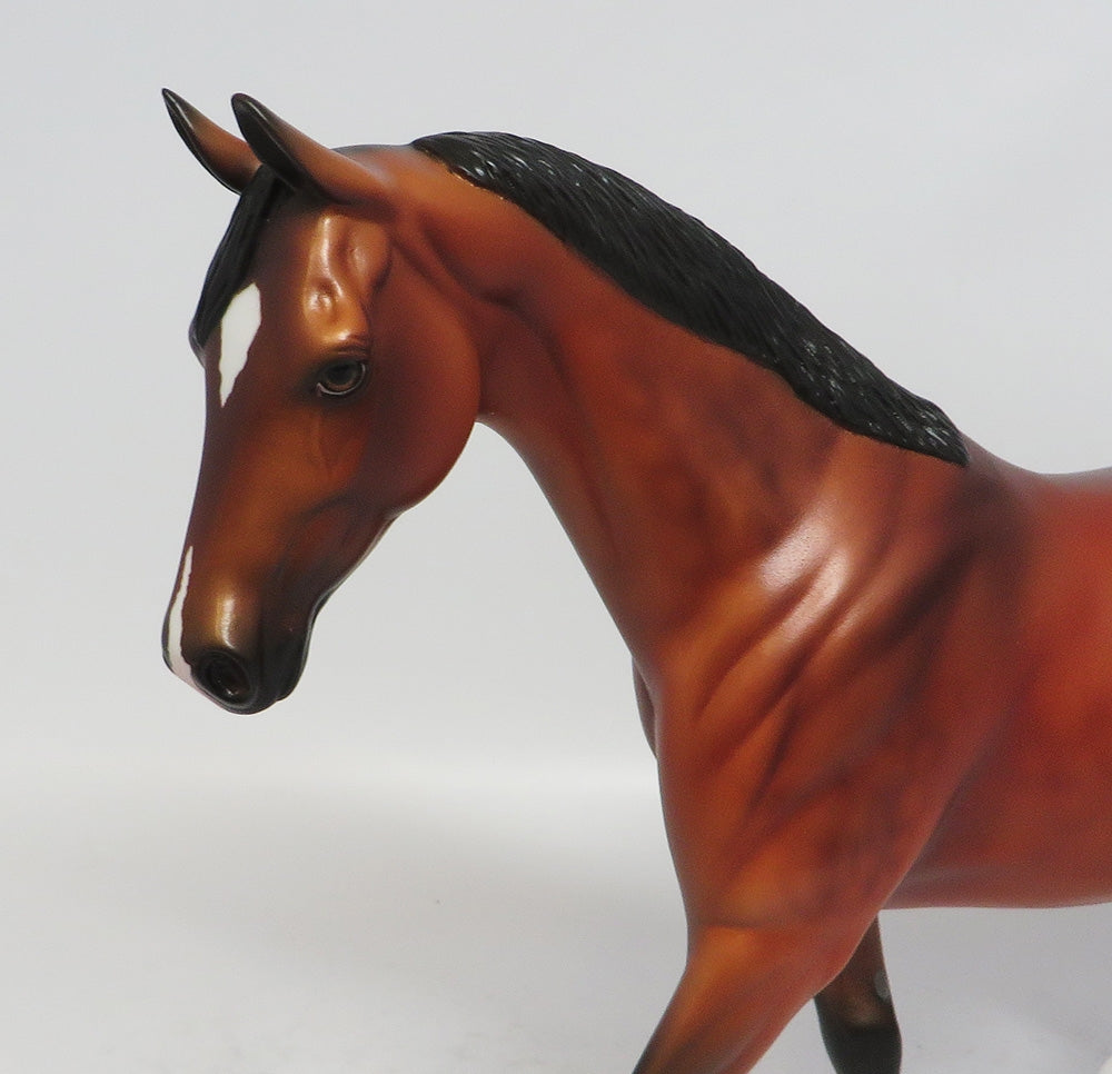 SMAK TALK - OOAK DAPPLE BAY APPALOOSA PONY MODEL HORSE MW2018