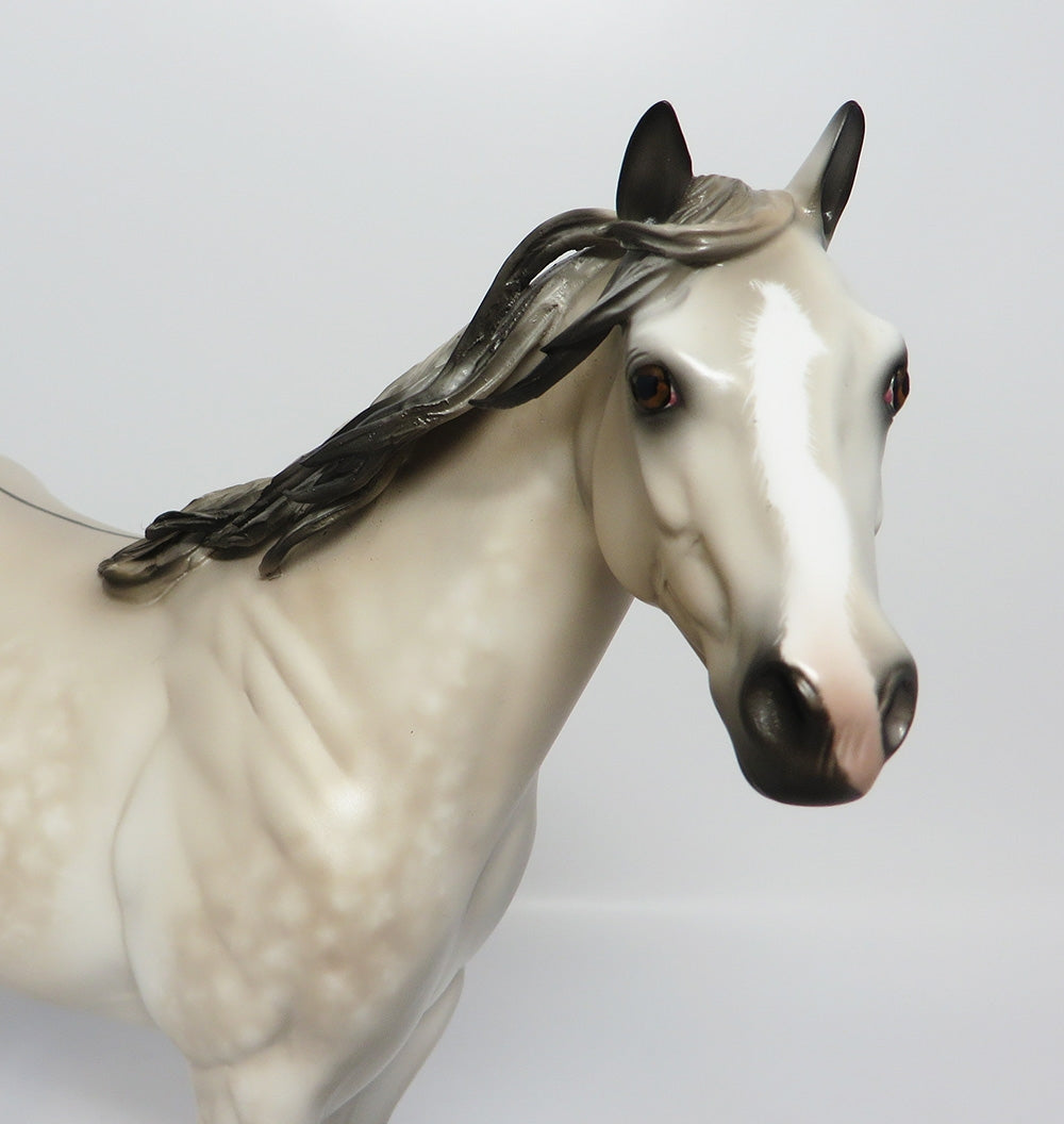 THUNDER SNOW~OOAK STAR DAPPLE GREY BUCKSKIN ISH MODEL HORSE 7/31/17