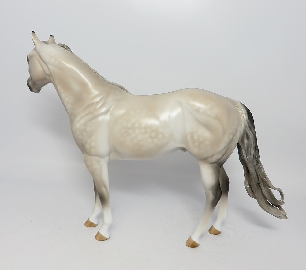 THUNDER SNOW~OOAK STAR DAPPLE GREY BUCKSKIN ISH MODEL HORSE 7/31/17