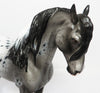 andalusian