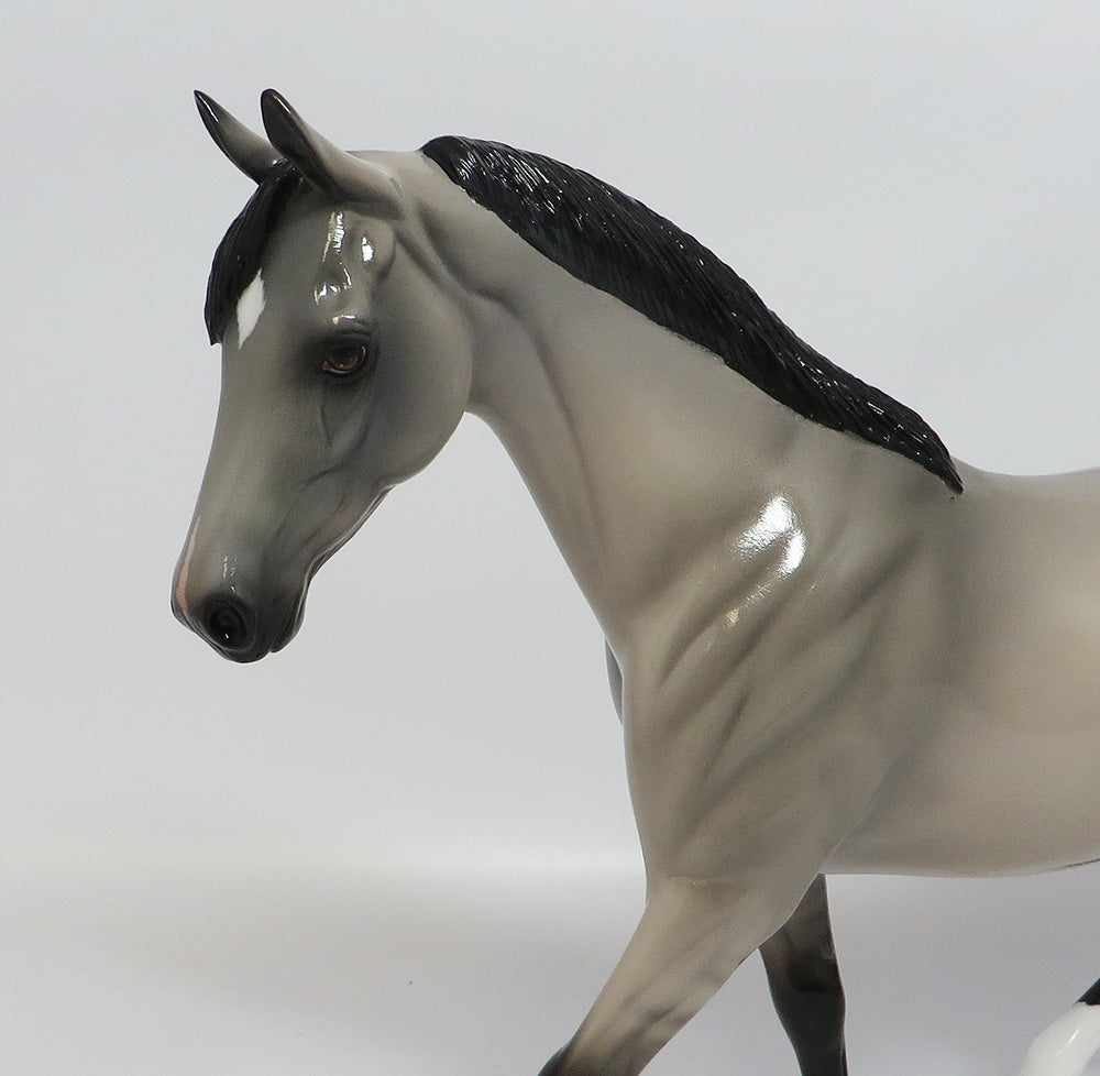 LINCOLN-LE-3 GRULLA APPALOOSA PONY MODEL HORSE MIDWEST FAIR 2018