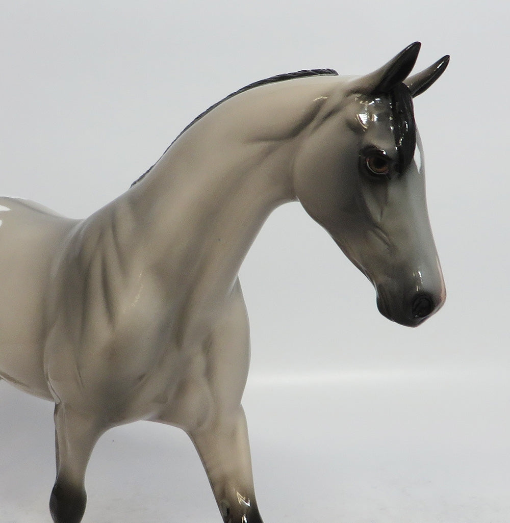 LINCOLN-LE-3 GRULLA APPALOOSA PONY MODEL HORSE MIDWEST FAIR 2018