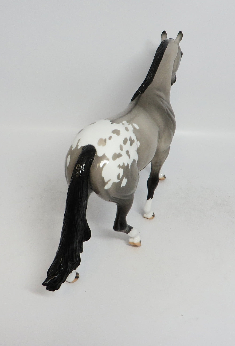 LINCOLN-LE-3 GRULLA APPALOOSA PONY MODEL HORSE MIDWEST FAIR 2018