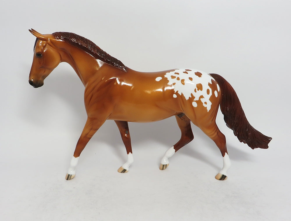 PARSONS-LE-3 DUN APPALOOSA PONY MODEL HORSE MIDWEST FAIR 2018