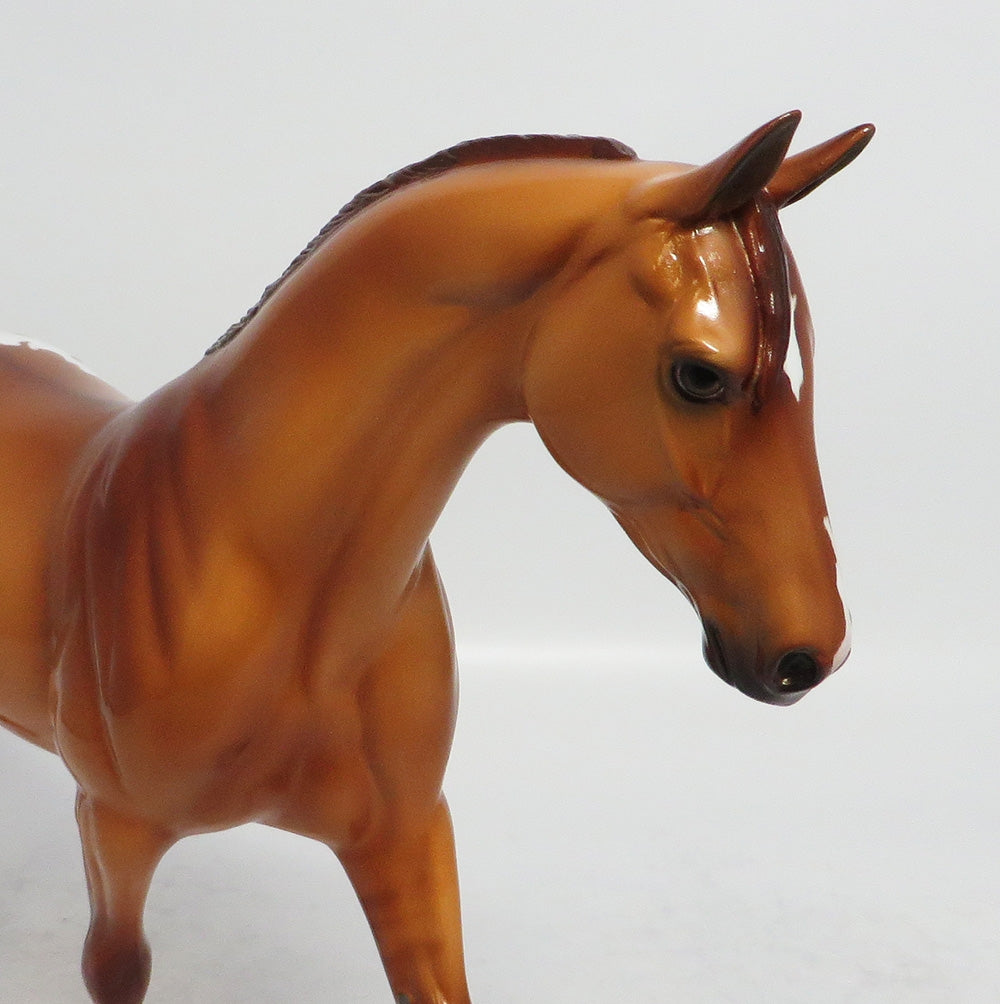 PARSONS-LE-3 DUN APPALOOSA PONY MODEL HORSE MIDWEST FAIR 2018