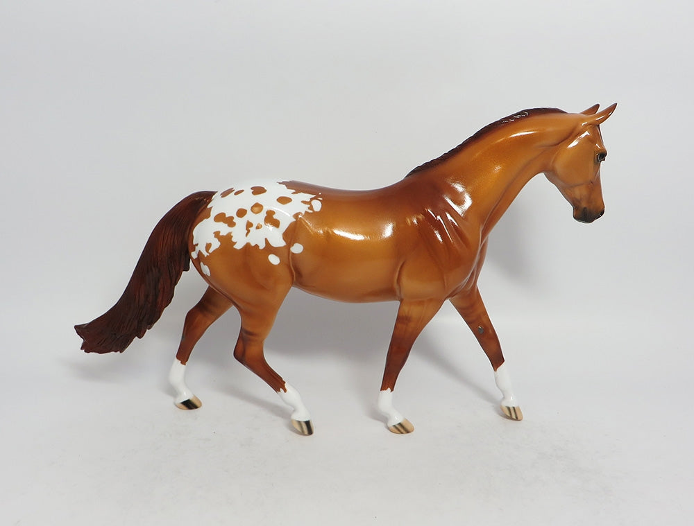 PARSONS-LE-3 DUN APPALOOSA PONY MODEL HORSE MIDWEST FAIR 2018