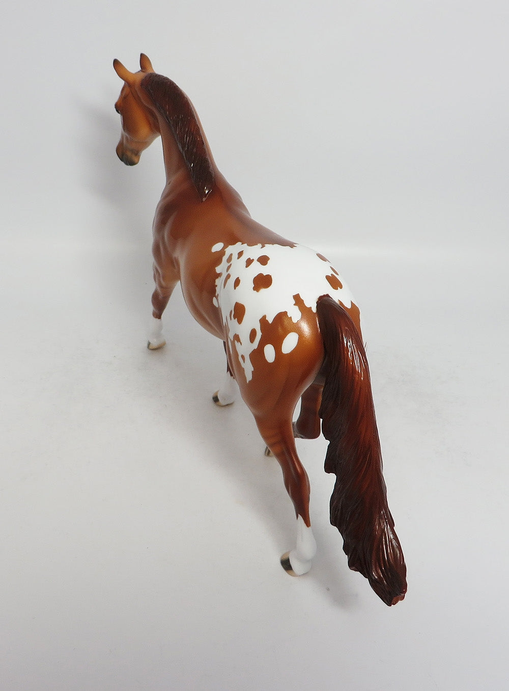 PARSONS-LE-3 DUN APPALOOSA PONY MODEL HORSE MIDWEST FAIR 2018