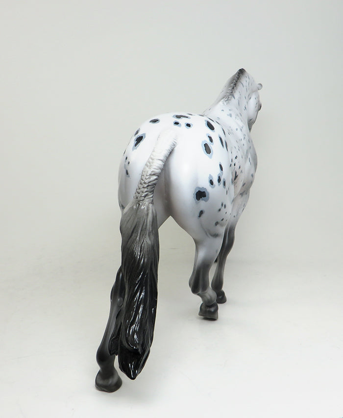 appaloosa peter stone pony