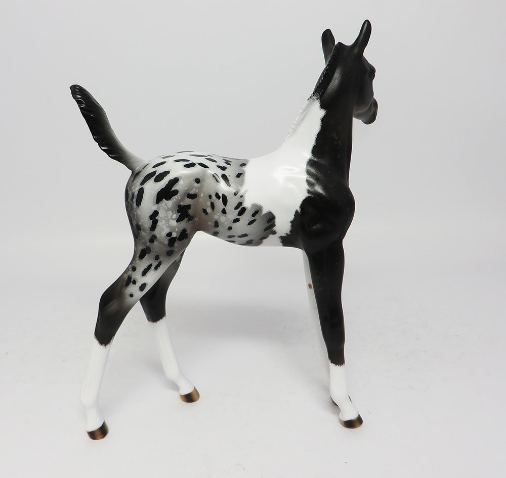 MODESTO-OOAK PAINTALOOSA FOAL MODEL HORSE 8/2/17